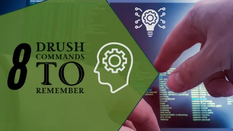 Drupal Configuration Management using Drush